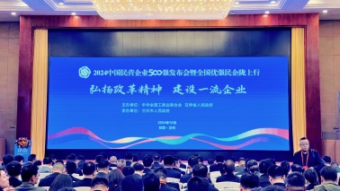 海王集團(tuán)位列2024中國(guó)民營(yíng)企業(yè)500強(qiáng)第240位，2024中國(guó)制造業(yè)民營(yíng)企業(yè)500強(qiáng)第168位